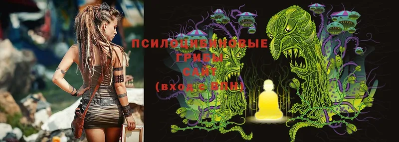 Галлюциногенные грибы Cubensis Курган