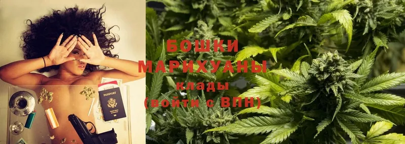 цены   Курган  Бошки Шишки OG Kush 